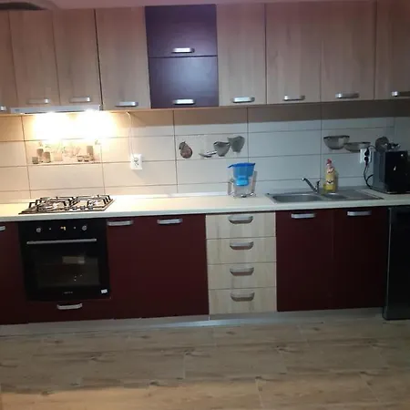 Pensiunea Camelia Guest house