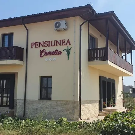 Pensiunea Camelia Guest house Baia