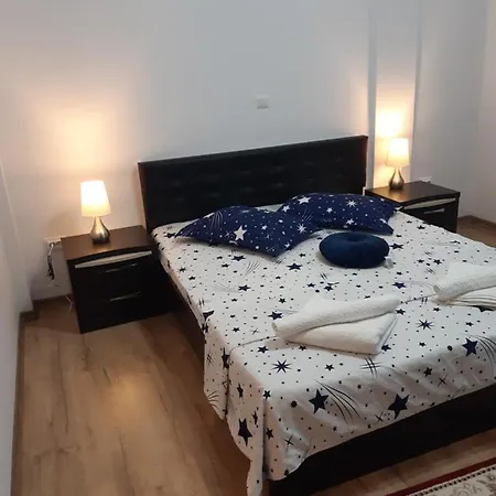 Pensiunea Camelia Guest house Baia