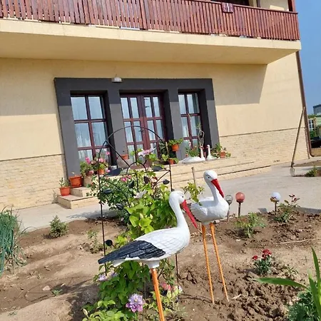 Pensiunea Camelia Guest house Baia