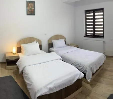 Pensiunea Camelia 3* Baia