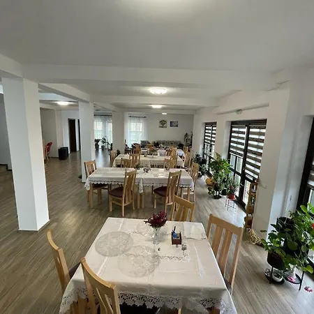 Pensiunea Camelia 3*