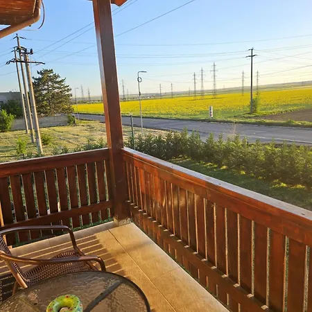 Pensiunea Camelia Guest house