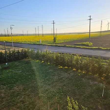 Guest house Pensiunea Camelia 3*