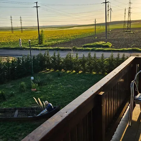 Guest house Pensiunea Camelia Baia