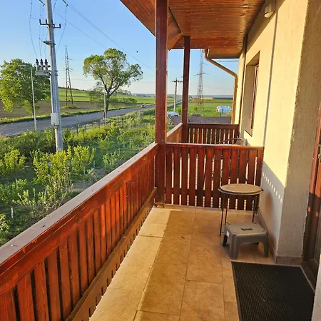 Pensiunea Camelia Guest house Baia