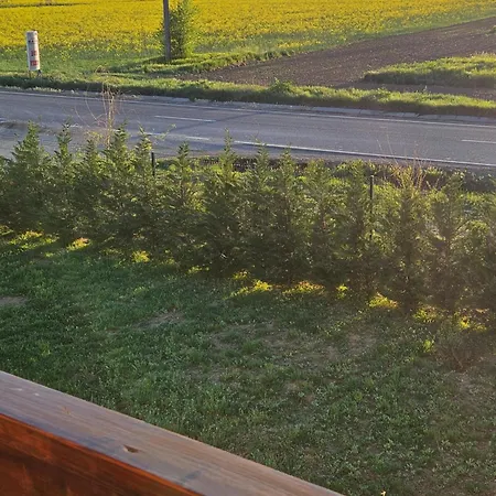 Pensiunea Camelia Baia