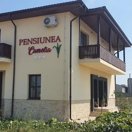 Pensiunea Camelia Pensión Baia