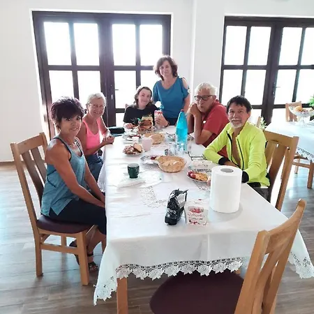 Casa de hóspedes Pensiunea Camelia 3*