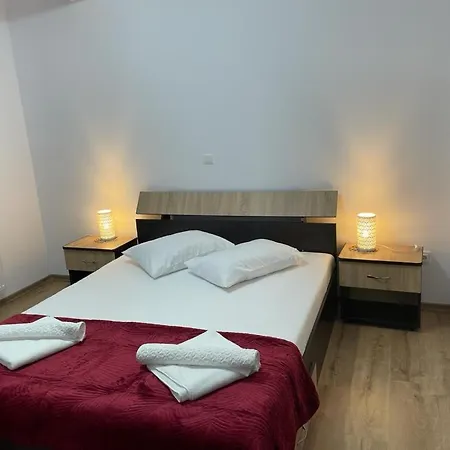 Casa de hóspedes Pensiunea Camelia