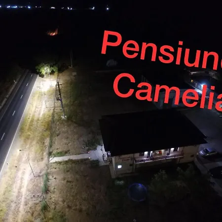 Casa de hóspedes Pensiunea Camelia 3*