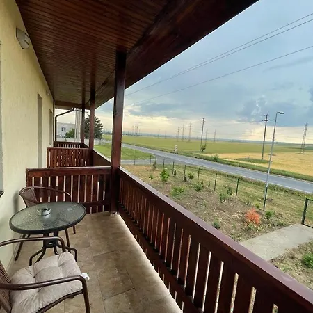 Guest house Pensiunea Camelia Baia