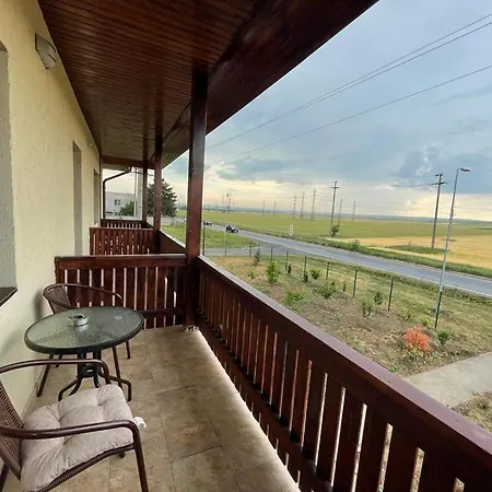 Pensiunea Camelia Guest house