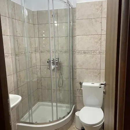 Pensiunea Camelia Guest house