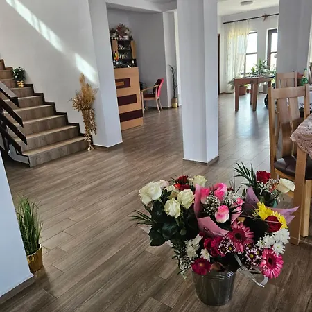 Guest house Pensiunea Camelia *