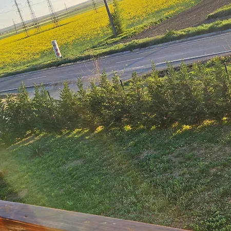 Pensiunea Camelia Casa de hóspedes Baia