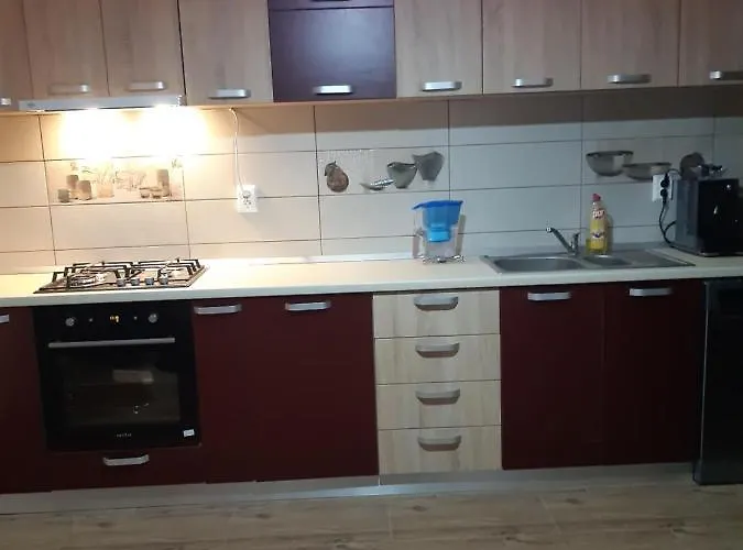 Pensiunea Camelia Gasthuis