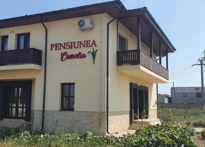 Pensiunea Camelia Gasthuis Baia