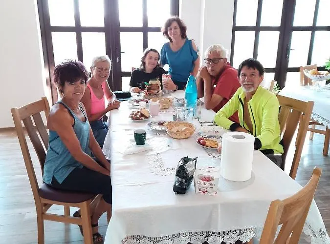 Gasthuis Pensiunea Camelia 3*