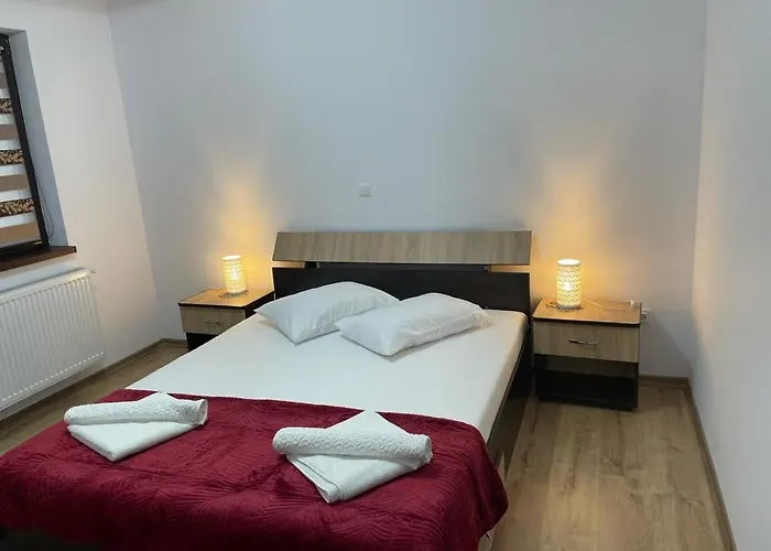 Gasthuis Pensiunea Camelia