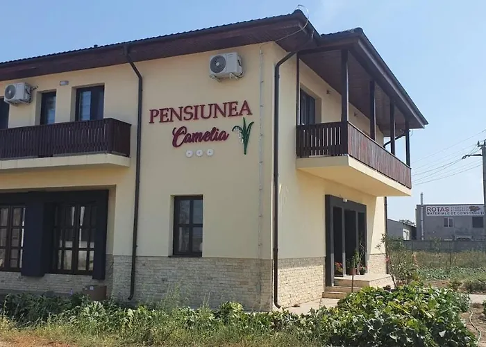Pensiunea Camelia Gasthuis Baia