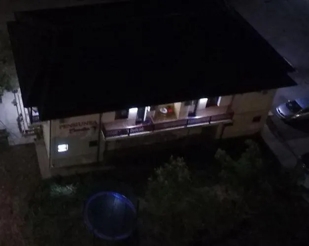 Gasthuis Pensiunea Camelia 3*