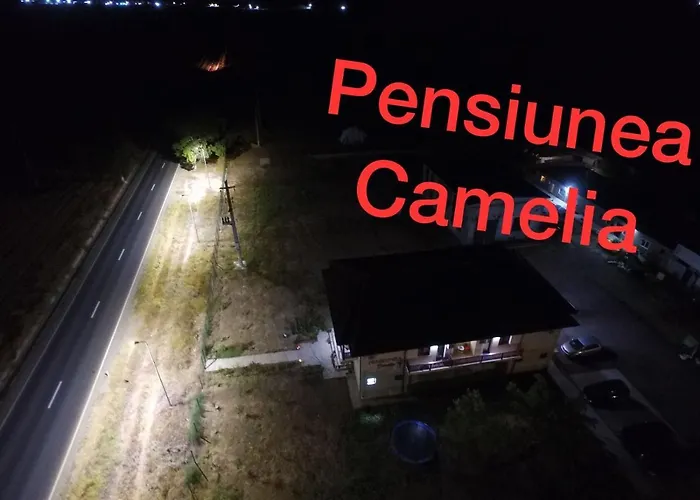 Gasthuis Pensiunea Camelia 3*