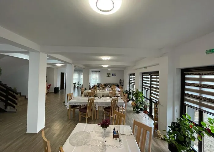 Pensiunea Camelia Gasthuis