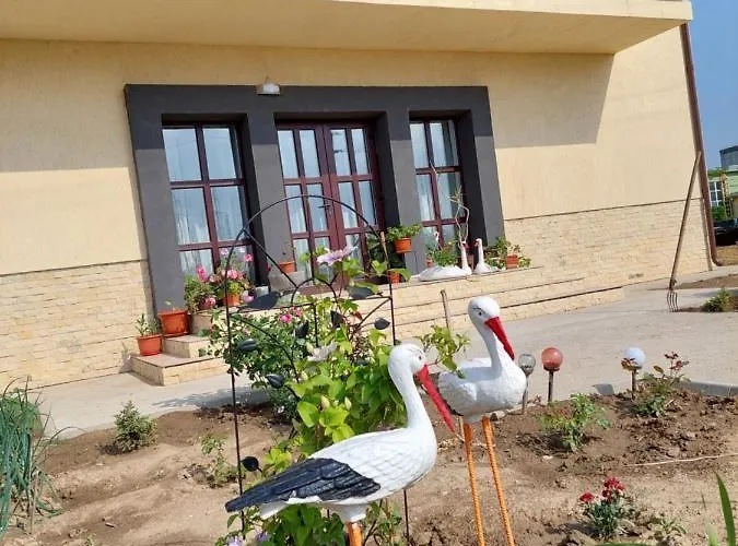 Pensiunea Camelia Gasthuis Baia