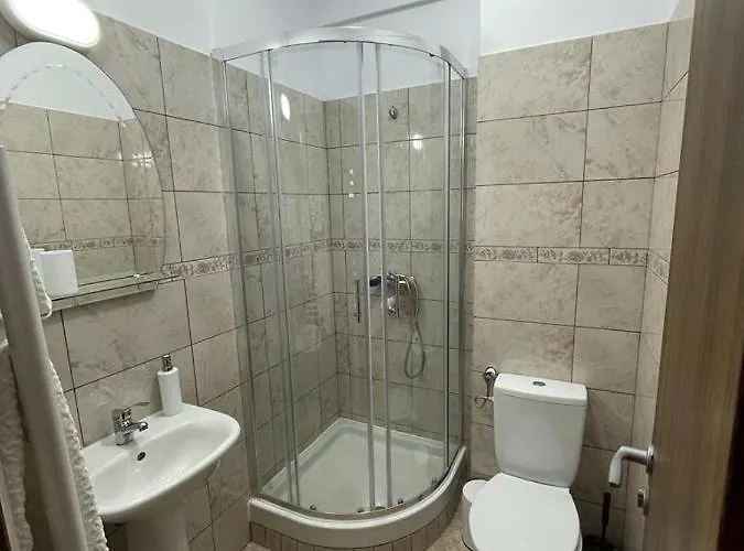 Pensiunea Camelia 3*