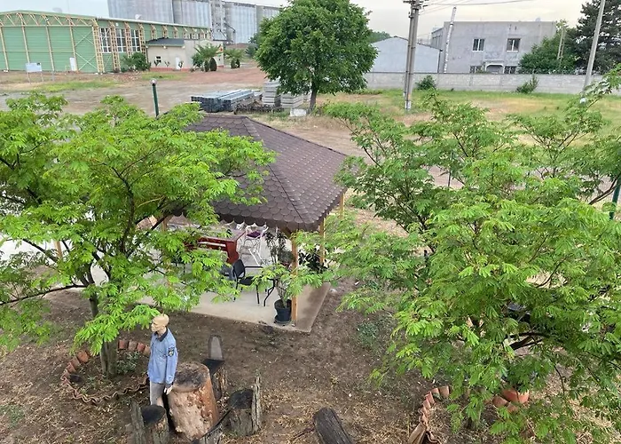 Gasthuis Pensiunea Camelia 3*