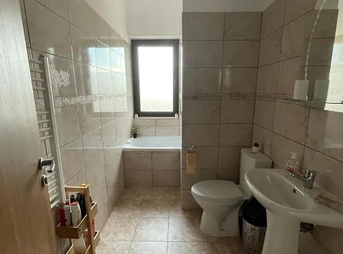 Pensiunea Camelia Gasthuis 3*