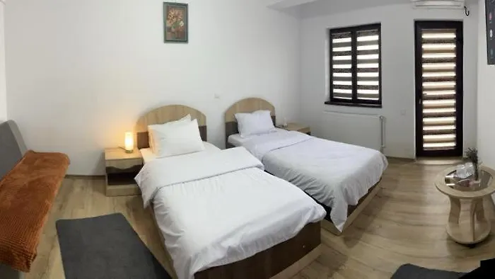 Pensiunea Camelia 3* Baia