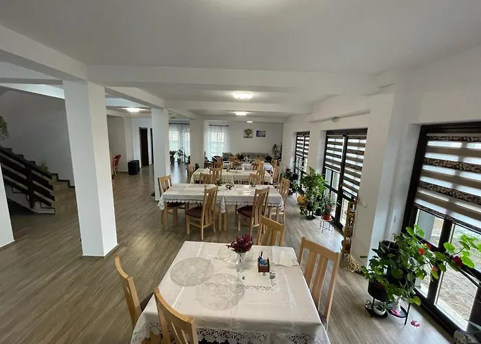 Pensiunea Camelia 3*