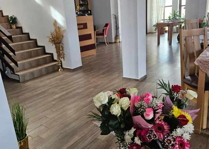 Vendégház Pensiunea Camelia 3*