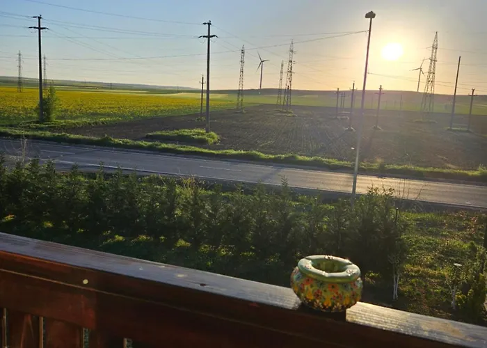 Pensiunea Camelia Gasthuis 3*