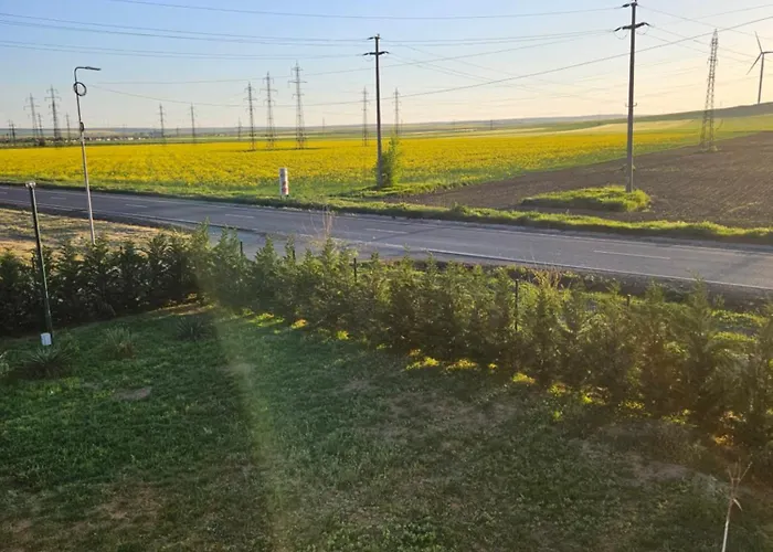 Gasthuis Pensiunea Camelia 3*