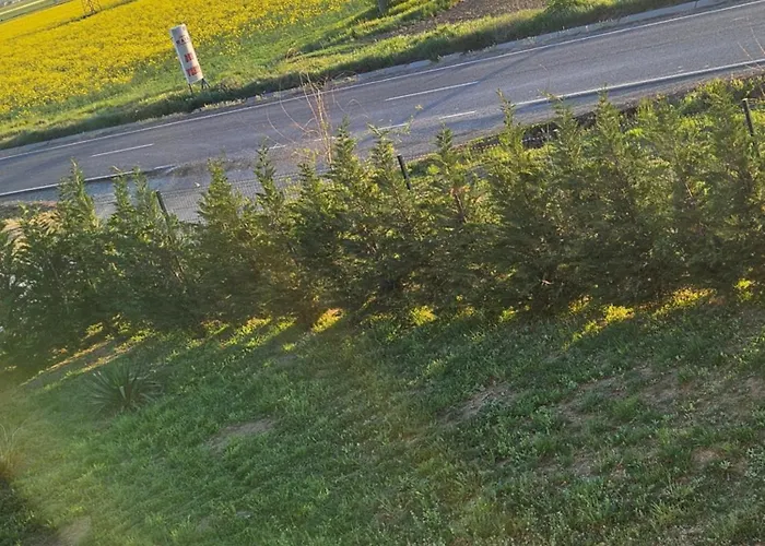 Pensiunea Camelia Gasthuis Baia