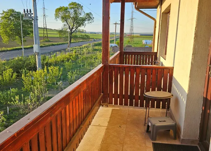 Pensiunea Camelia Gasthuis Baia