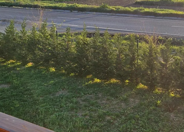 Pensiunea Camelia Baia