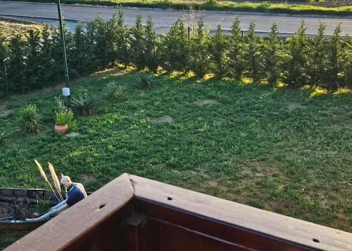 Pensiunea Camelia Gasthuis Baia